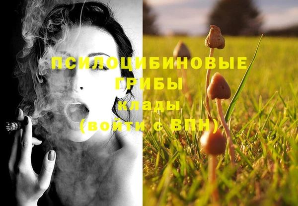 мдпв Михайловск