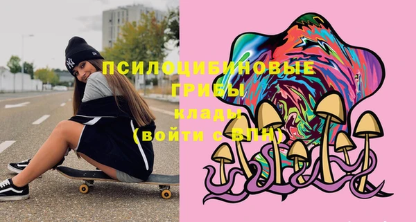 прущие грибы Мегион
