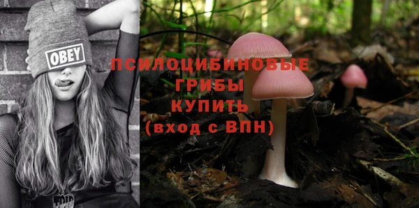 MDMA Premium VHQ Михайловка