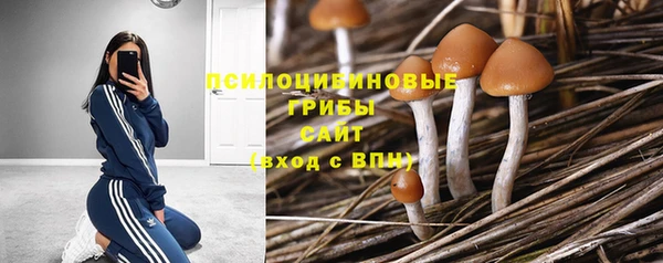 кокаин премиум Медногорск