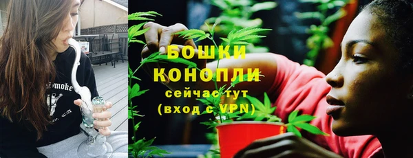 прущие грибы Мегион