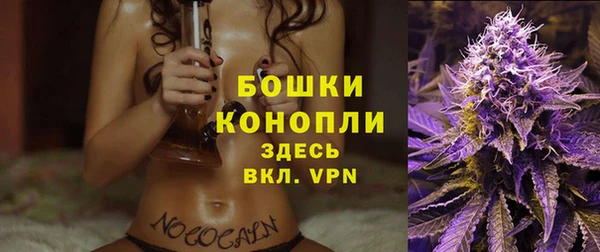 мдпв Михайловск