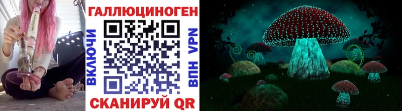 Галлюциногенные грибы GOLDEN TEACHER  как найти закладки  Чишмы 